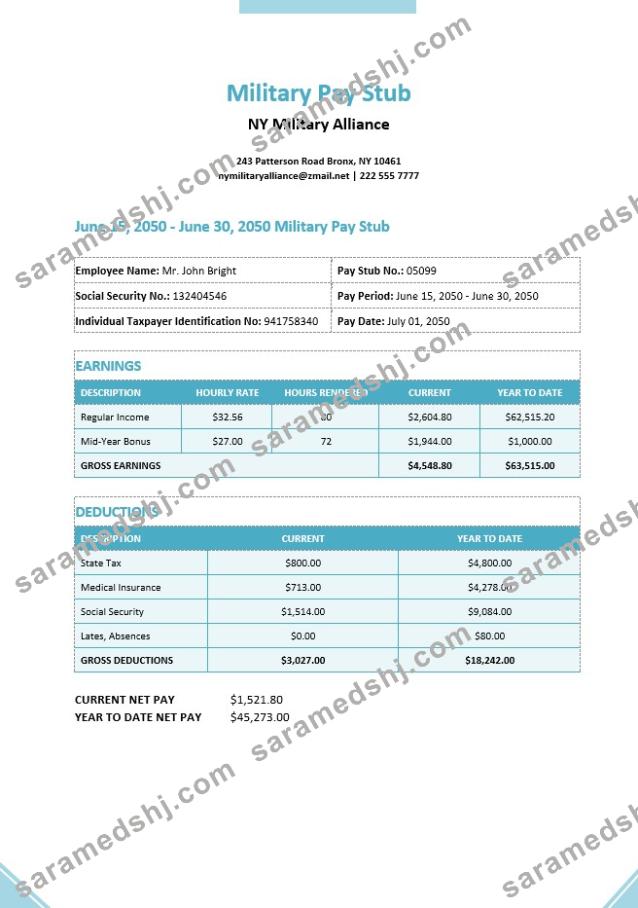 Military Pay Stub Template